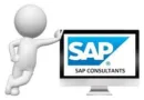 SAP consultant