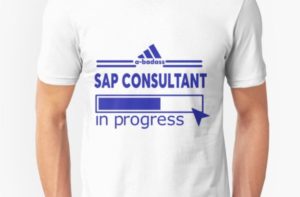 SAP Consultant