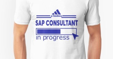 SAP Consultant