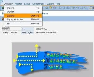 SAP Change Management - Cem Solmaz SAP