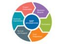 SAP project